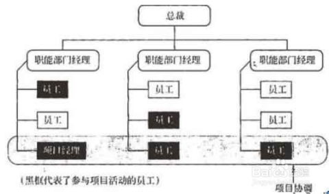 系统集成项目管理工程师考试 项目组织分类